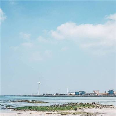 反重力鸭岛破解版游戏下载