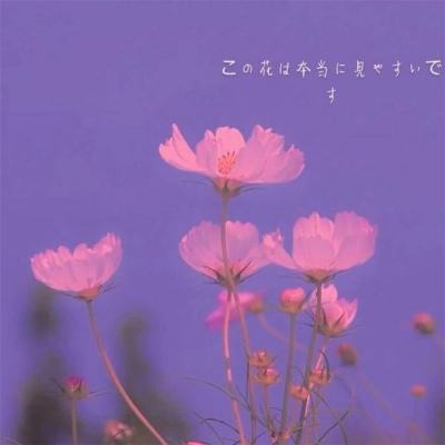 软天空手机版破解游戏盒子下载