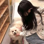 洗剑轩辕录bt变态版下载